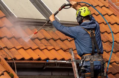 Démoussage et hydrofuge de toiture à Argiésans